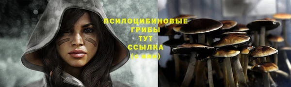 гидропоника Киреевск