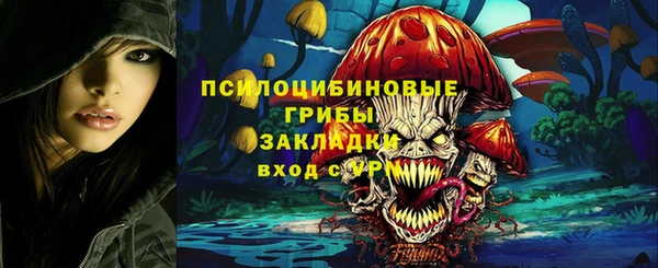 2c-b Киренск