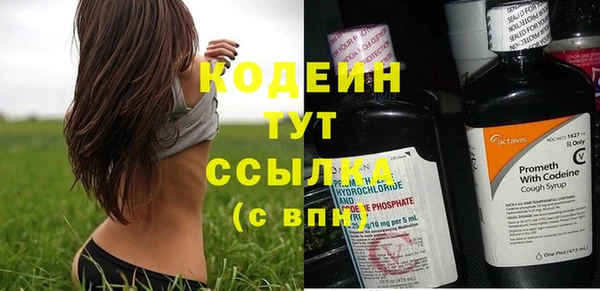 кокс Касимов